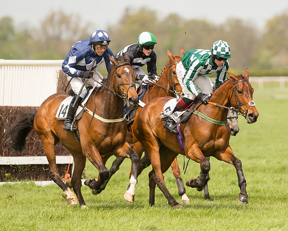 Race 1 - Young Horse Maiden (20 of 62).jpg