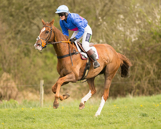 Race 5 - Ladies Open (15 of 81).jpg