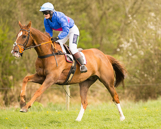 Race 5 - Ladies Open (16 of 81).jpg