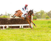 Race 7 - Open Maiden (18 of 73).jpg