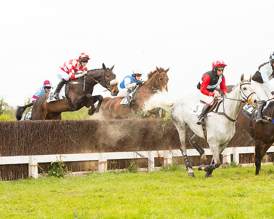 Race 7 - Open Maiden (24 of 73).jpg