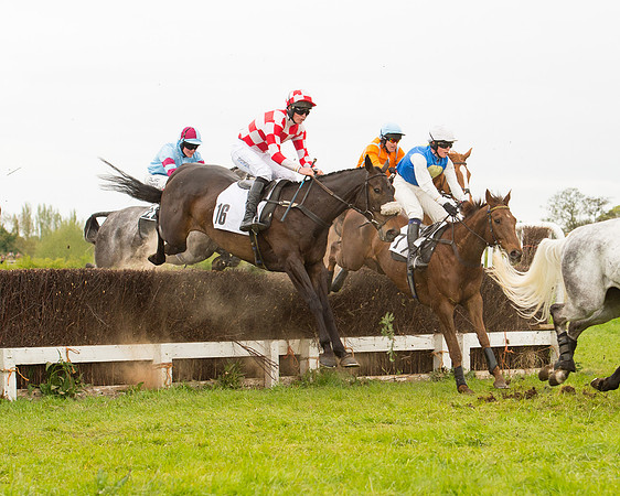 Race 7 - Open Maiden (26 of 73).jpg