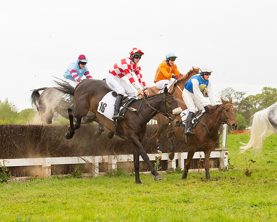 Race 7 - Open Maiden (27 of 73).jpg