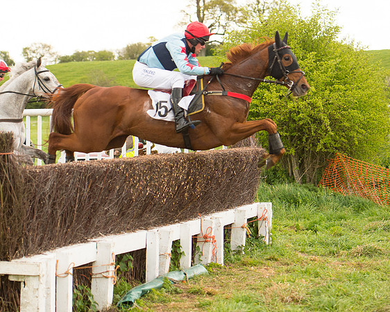 Race 7 - Open Maiden (32 of 73).jpg