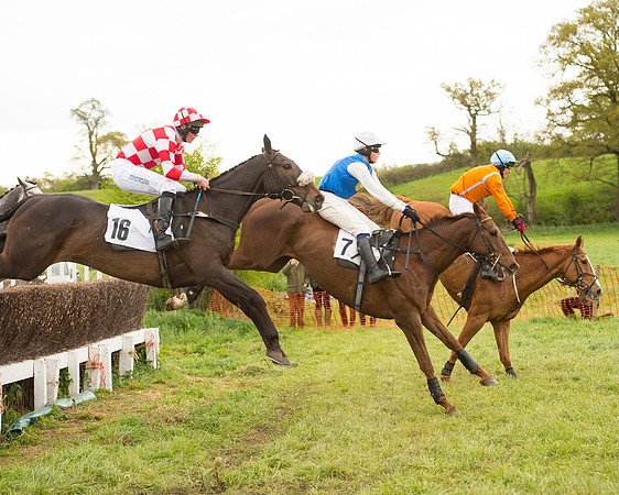 Race 7 - Open Maiden (43 of 73).jpg