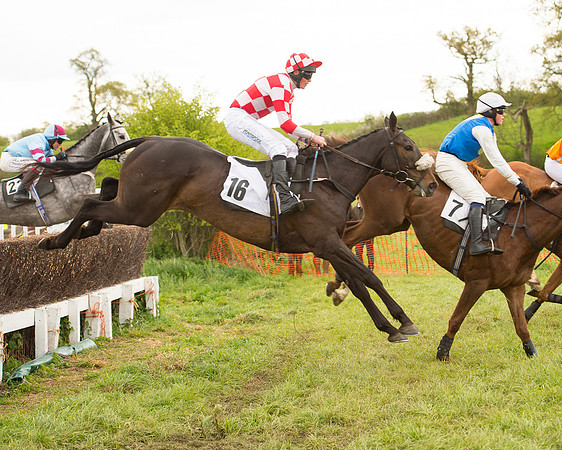 Race 7 - Open Maiden (44 of 73).jpg