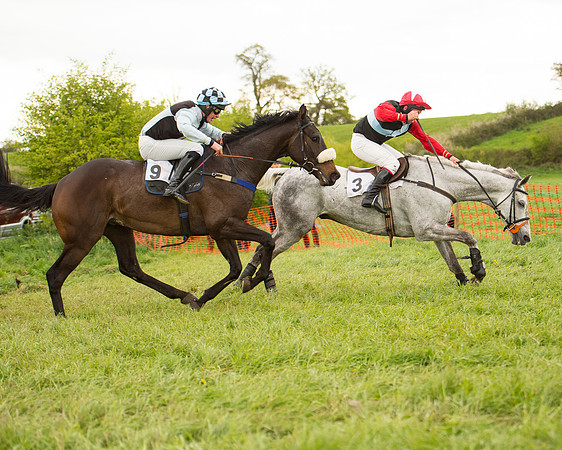 Race 7 - Open Maiden (58 of 73).jpg