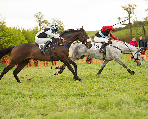 Race 7 - Open Maiden (59 of 73).jpg