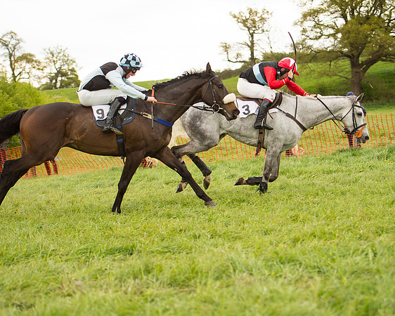 Race 7 - Open Maiden (60 of 73).jpg