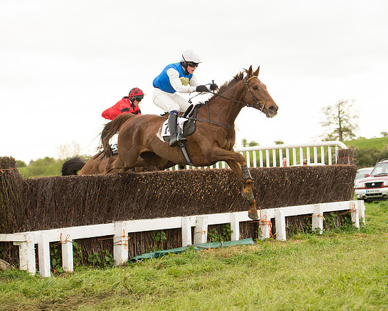 Race 7 - Open Maiden (62 of 73).jpg