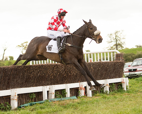 Race 7 - Open Maiden (68 of 73).jpg