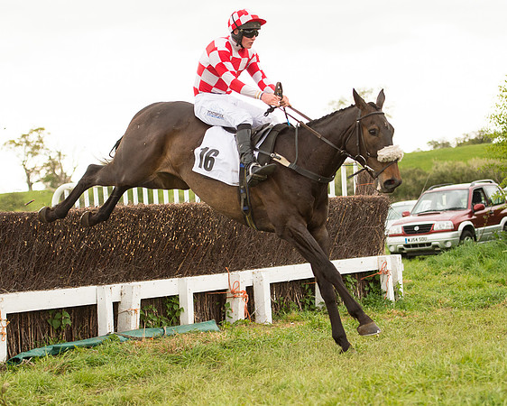 Race 7 - Open Maiden (69 of 73).jpg