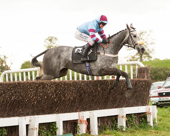 Race 7 - Open Maiden (70 of 73).jpg