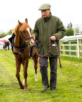 Pony Race - 1  (19 of 95).jpg