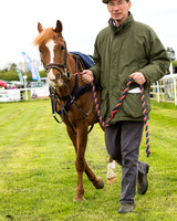 Pony Race - 1  (20 of 95).jpg
