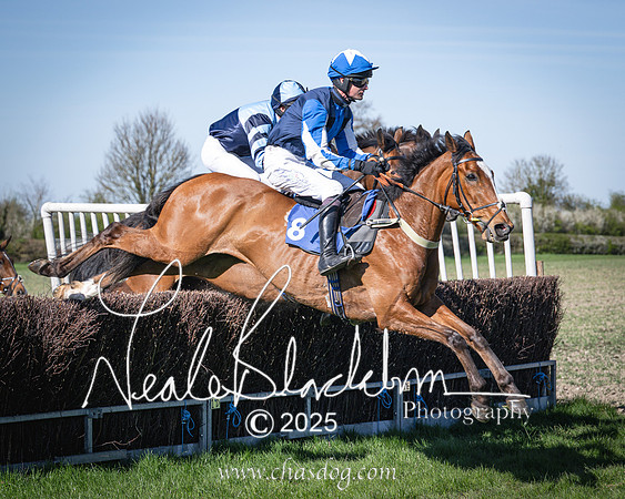 Race 6 - Veteran horse (54 of 109)