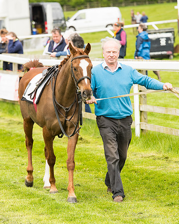 Pony Race - 2 (5 of 125).jpg