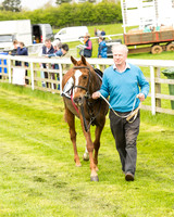 Pony Race - 2 (6 of 125).jpg