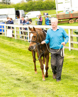 Pony Race - 2 (7 of 125).jpg