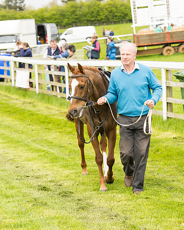 Pony Race - 2 (7 of 125).jpg