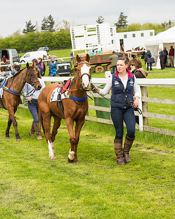 Pony Race - 2 (9 of 125).jpg