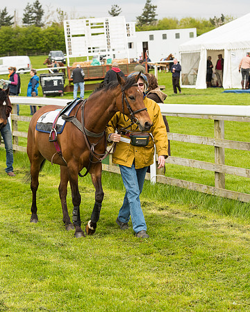 Pony Race - 2 (13 of 125).jpg