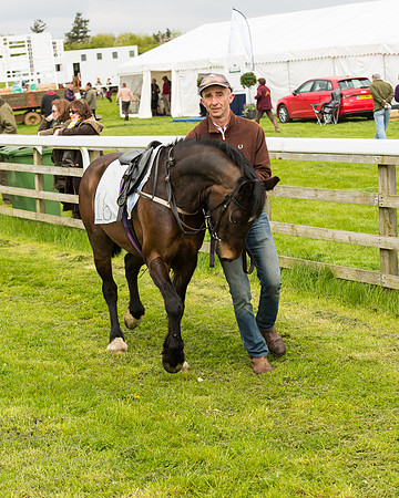 Pony Race - 2 (18 of 125).jpg
