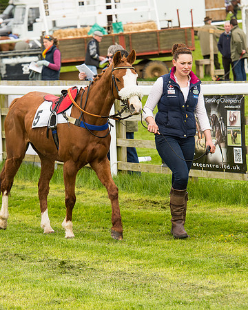 Pony Race - 2 (27 of 125).jpg