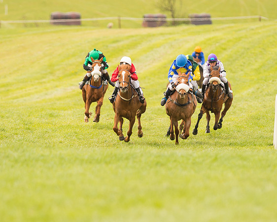Pony Race - 2 (47 of 125).jpg