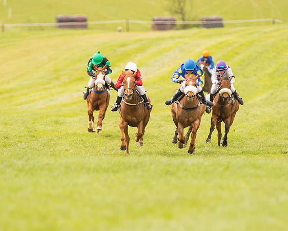 Pony Race - 2 (48 of 125).jpg