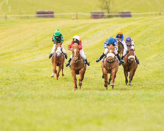 Pony Race - 2 (49 of 125).jpg