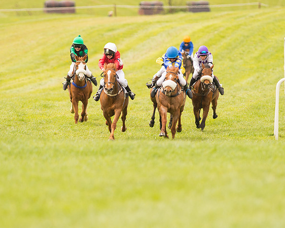 Pony Race - 2 (50 of 125).jpg