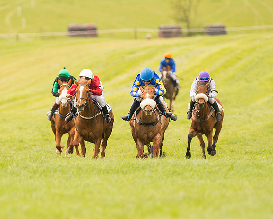 Pony Race - 2 (51 of 125).jpg