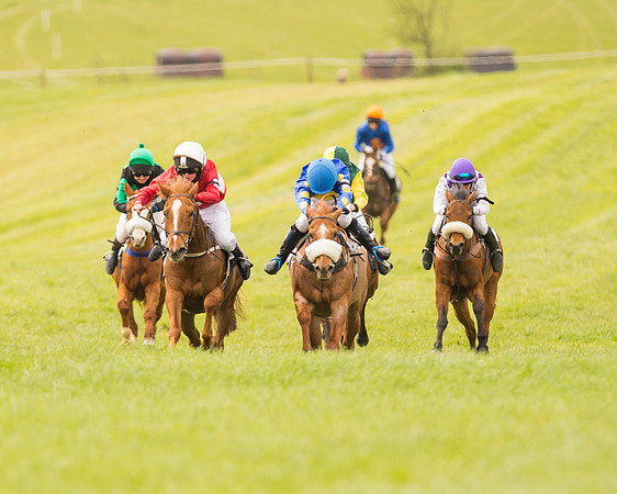 Pony Race - 2 (52 of 125).jpg
