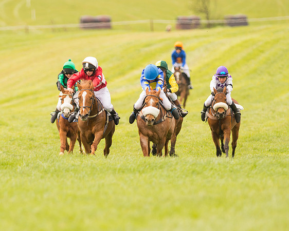 Pony Race - 2 (53 of 125).jpg