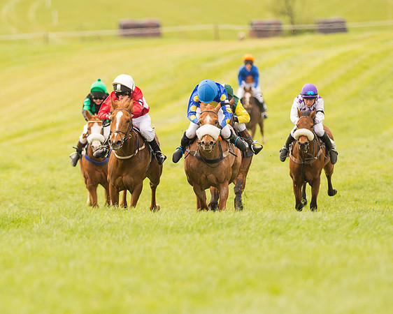 Pony Race - 2 (54 of 125).jpg