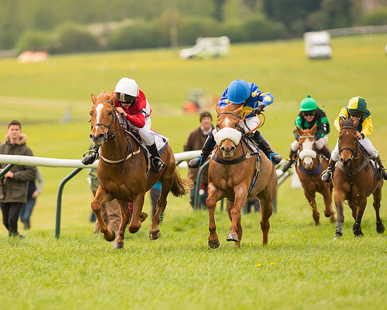 Pony Race - 2 (64 of 125).jpg