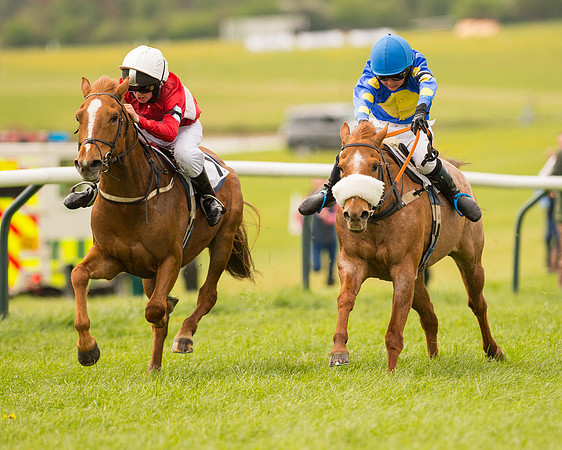Pony Race - 2 (70 of 125).jpg
