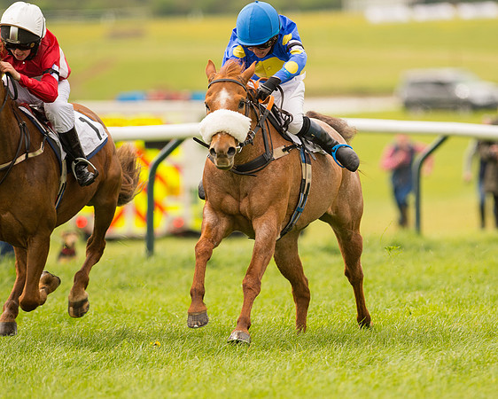 Pony Race - 2 (74 of 125).jpg