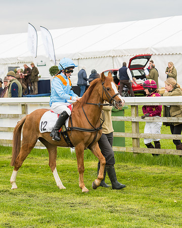 Pony Race - 3 (4 of 94).jpg