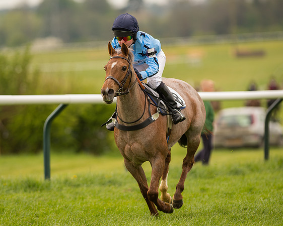 Pony Race - 3 (34 of 94).jpg