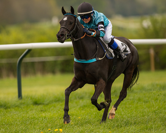 Pony Race - 3 (45 of 94).jpg
