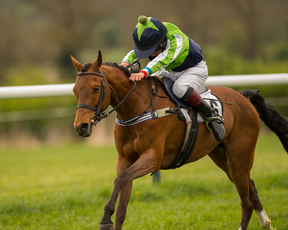 Pony Race - 3 (50 of 94).jpg