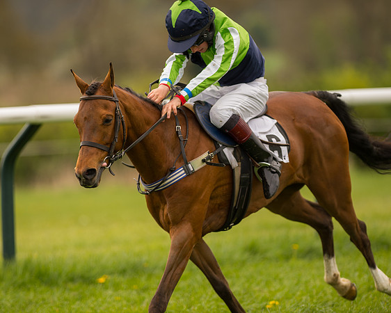 Pony Race - 3 (51 of 94).jpg