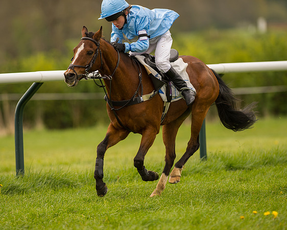 Pony Race - 3 (56 of 94).jpg