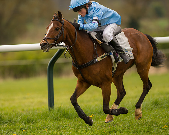 Pony Race - 3 (59 of 94).jpg