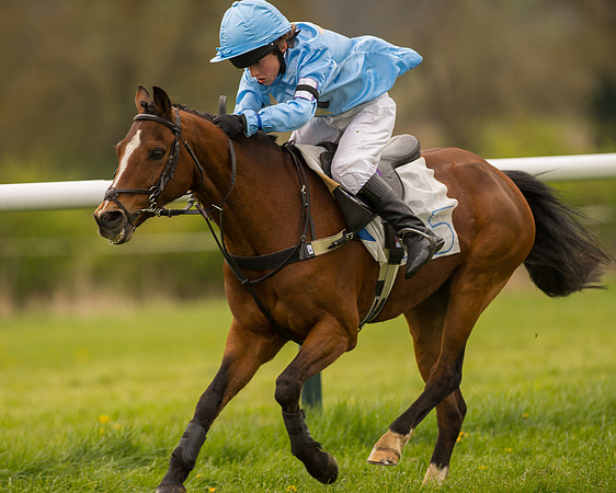 Pony Race - 3 (60 of 94).jpg