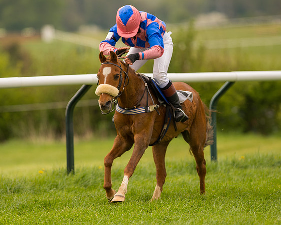Pony Race - 3 (68 of 94).jpg