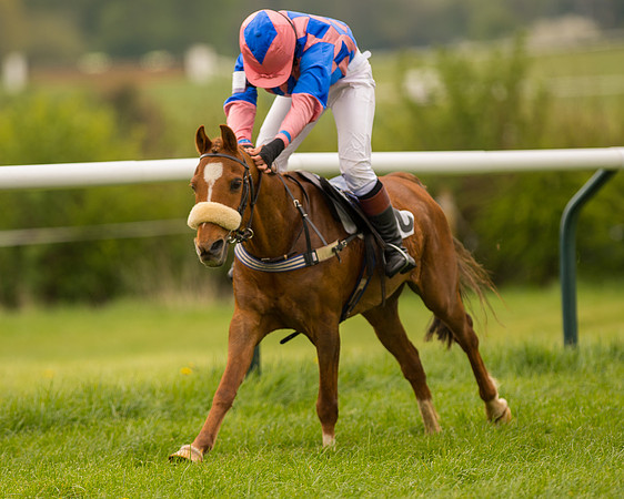 Pony Race - 3 (69 of 94).jpg