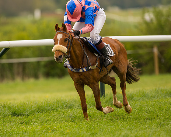 Pony Race - 3 (70 of 94).jpg